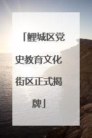 鲤城区党史教育文化街区正式揭牌