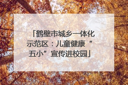 鹤壁市城乡一体化示范区：儿童健康“五小”宣传进校园