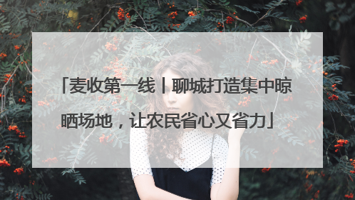 麦收第一线丨聊城打造集中晾晒场地，让农民省心又省力