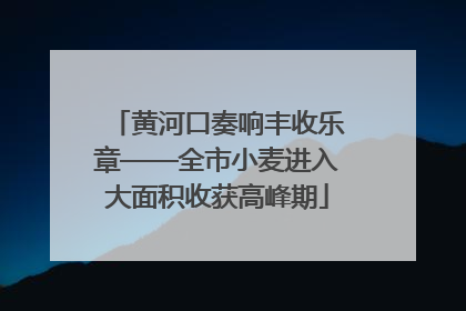 黄河口奏响丰收乐章——全市小麦进入大面积收获高峰期
