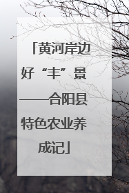 黄河岸边好“丰”景——合阳县特色农业养成记