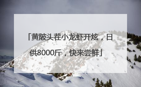 黄陂头茬小龙虾开炫，日供8000斤，快来尝鲜