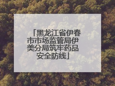 黑龙江省伊春市市场监管局伊美分局筑牢药品安全防线
