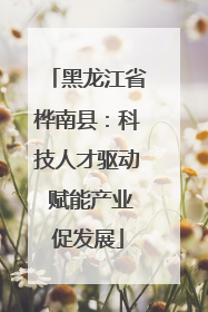 黑龙江省桦南县：科技人才驱动 赋能产业促发展