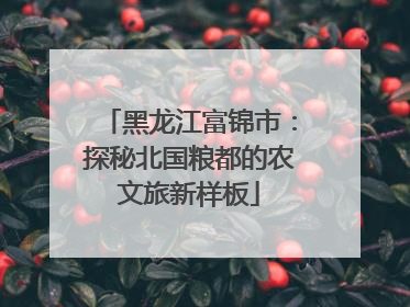 黑龙江富锦市：探秘北国粮都的农文旅新样板