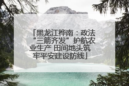 黑龙江桦南：政法“三箭齐发”护航农业生产 田间地头筑牢平安建设防线