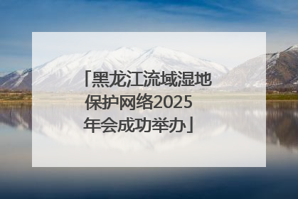 黑龙江流域湿地保护网络2025年会成功举办