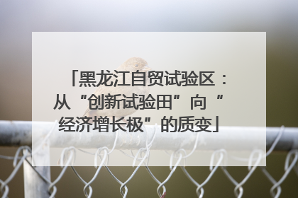 黑龙江自贸试验区：从“创新试验田”向“经济增长极”的质变