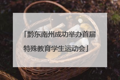 黔东南州成功举办首届特殊教育学生运动会