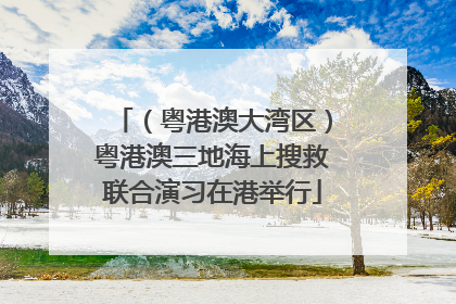 （粤港澳大湾区）粤港澳三地海上搜救联合演习在港举行