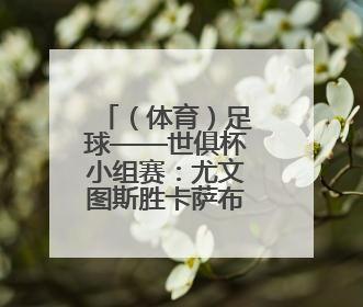 （体育）足球——世俱杯小组赛：尤文图斯胜卡萨布兰卡维达德