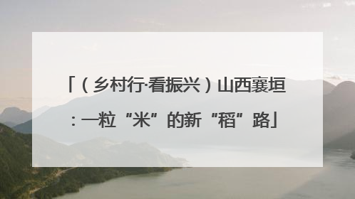 （乡村行·看振兴）山西襄垣：一粒“米”的新“稻”路