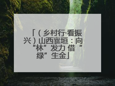 （乡村行·看振兴）山西襄垣：向“林”发力 借“绿”生金