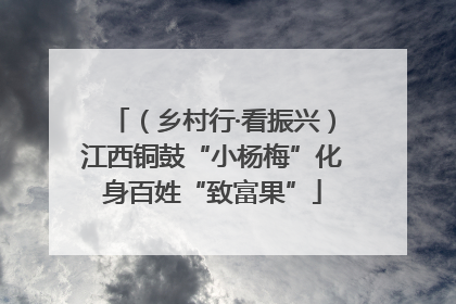 （乡村行·看振兴）江西铜鼓“小杨梅”化身百姓“致富果”