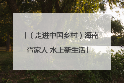 （走进中国乡村）海南疍家人 水上新生活