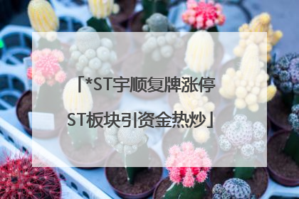 *ST宇顺复牌涨停 ST板块引资金热炒