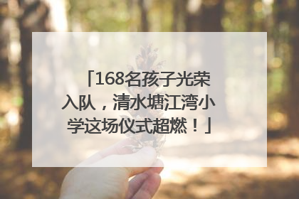 168名孩子光荣入队，清水塘江湾小学这场仪式超燃！
