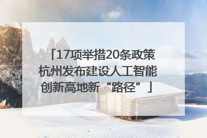 17项举措20条政策 杭州发布建设人工智能创新高地新“路径”