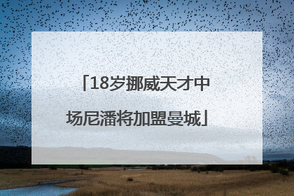 18岁挪威天才中场尼潘将加盟曼城