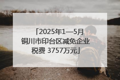 2025年1—5月铜川市印台区减免企业税费 3757万元