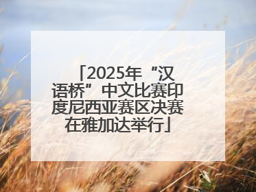 2025年“汉语桥”中文比赛印度尼西亚赛区决赛在雅加达举行