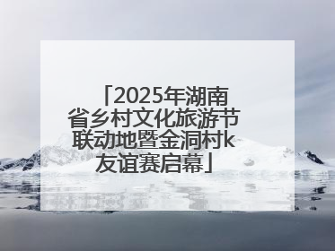 2025年湖南省乡村文化旅游节联动地暨金洞村k友谊赛启幕