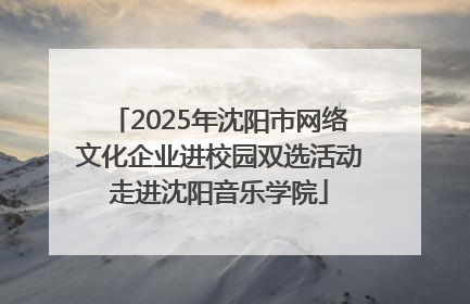 2025年沈阳市网络文化企业进校园双选活动走进沈阳音乐学院