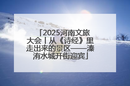 2025河南文旅大会丨从《诗经》里走出来的景区——溱洧水城开街迎宾