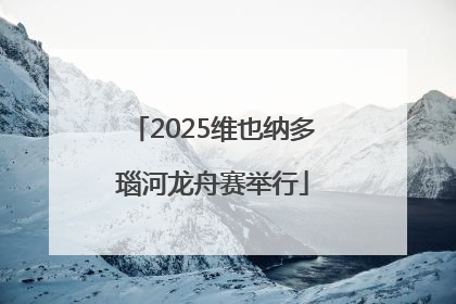 2025维也纳多瑙河龙舟赛举行