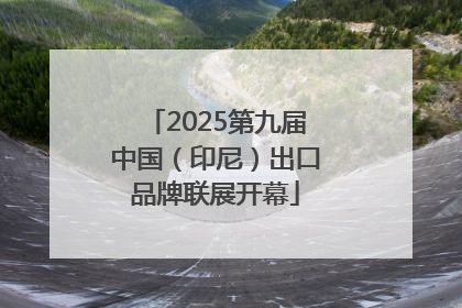 2025第九届中国（印尼）出口品牌联展开幕