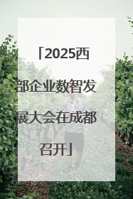2025西部企业数智发展大会在成都召开