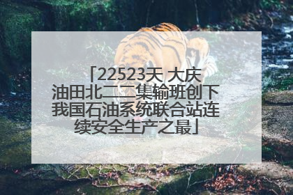 22523天 大庆油田北二二集输班创下我国石油系统联合站连续安全生产之最