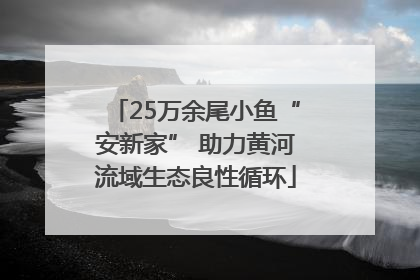 25万余尾小鱼“安新家” 助力黄河流域生态良性循环