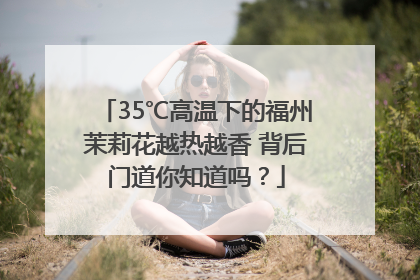 35℃高温下的福州茉莉花越热越香 背后门道你知道吗？