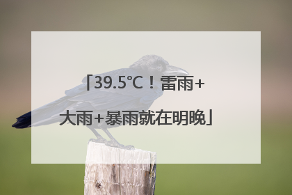 39.5℃！雷雨+大雨+暴雨就在明晚