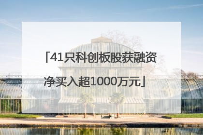 41只科创板股获融资净买入超1000万元