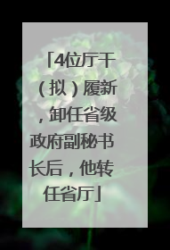 4位厅干（拟）履新，卸任省级政府副秘书长后，他转任省厅