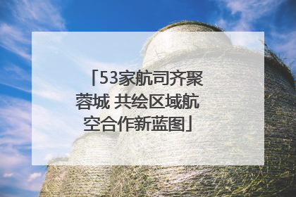 53家航司齐聚蓉城 共绘区域航空合作新蓝图
