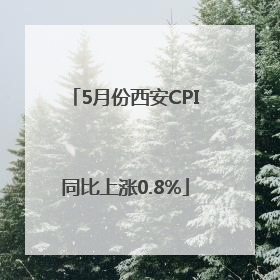 5月份西安CPI同比上涨0.8%