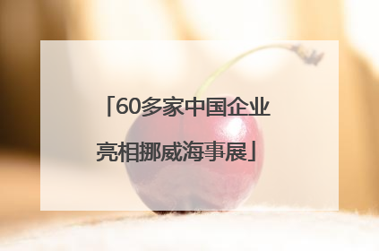 60多家中国企业亮相挪威海事展