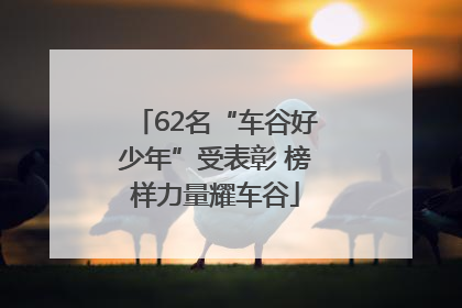 62名“车谷好少年”受表彰 榜样力量耀车谷