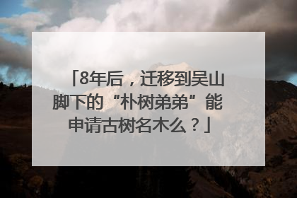 8年后，迁移到吴山脚下的“朴树弟弟”能申请古树名木么？