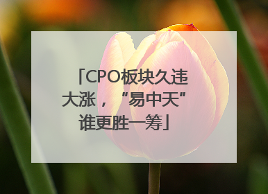 CPO板块久违大涨，“易中天”谁更胜一筹