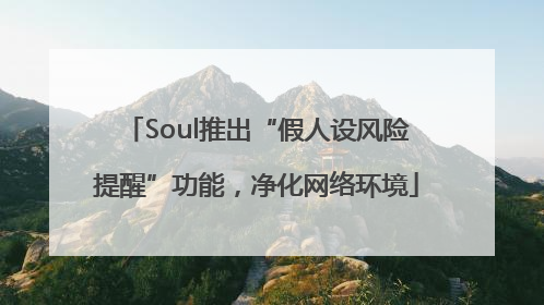 Soul推出“假人设风险提醒”功能，净化网络环境
