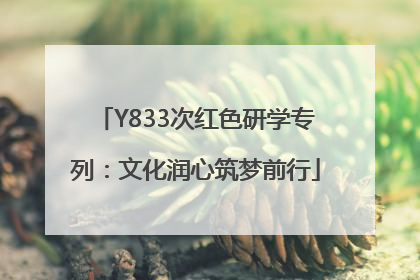 Y833次红色研学专列：文化润心筑梦前行