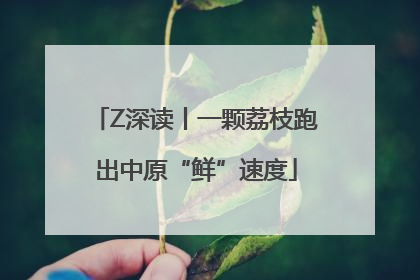 Z深读丨一颗荔枝跑出中原“鲜”速度